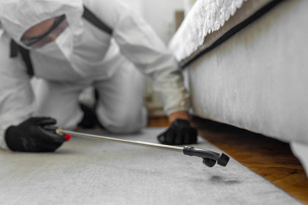 Professional Cockroach Control technician working in Athena, OR