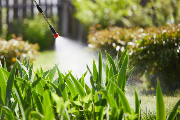 24/7 Emergency Cockroach Control experts in Athena, OR