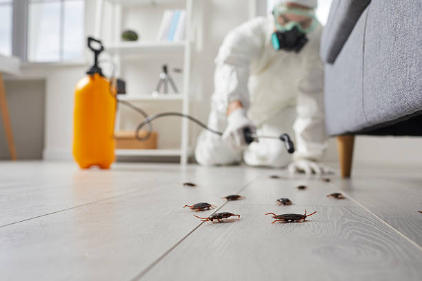 Affordable Cockroach Control solutions in Athena, OR